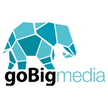 Go-Big-Media